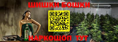 прущие грибы Гай
