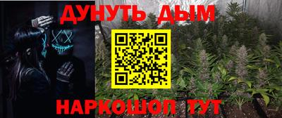 прущие грибы Гай